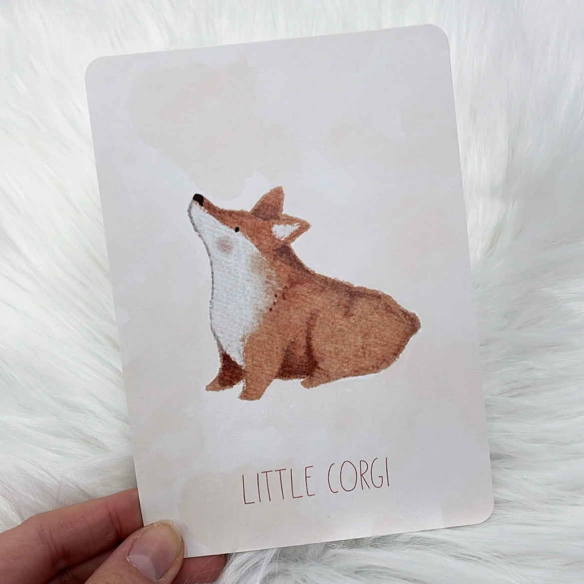 Postkarte Little Corgi
